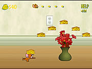 Run Jerry run online